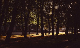 Telegram-маркетинг во второй половине года: на что делать ставку