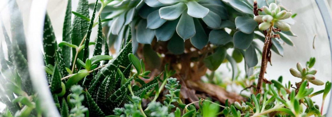 Black Friday в Telegram: как не сжечь базу и всё равно собрать продажи