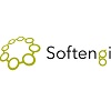 Softengi