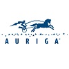 Auriga